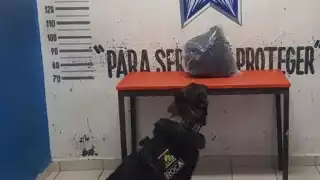 El agente camino ubicó la maleta de color negro en el suelo entre los pasillos seis y siete de la terminal de autobuses