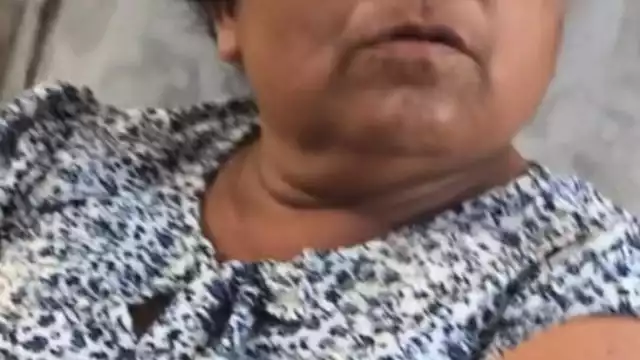 El delito de despojó se encuentra establecido en el artículo 158 del Código Penal de Quintana Roo