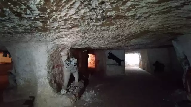 La Escondida, estás se encuentran a tan solo cinco metros de profundidad