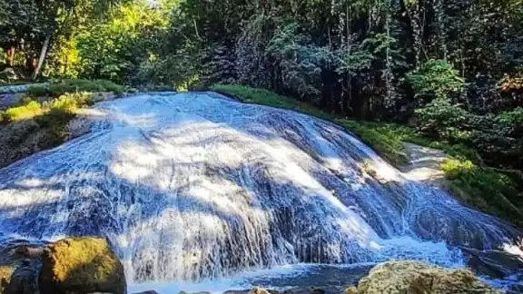 Cascadas de Agua Blanca