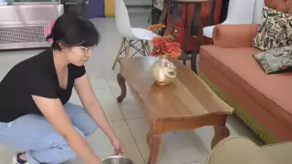 Veterinaria recomienda no poner bebederos en lugares públicos, para evitar contagios de rabia o sarna.