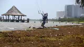 En mayo se han recogido mil 465 toneladas de alga