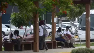 A través de las redes sociales y videojuegos ofrecen ofertas de trabajo de “halconeo” o distribución de narcóticos.