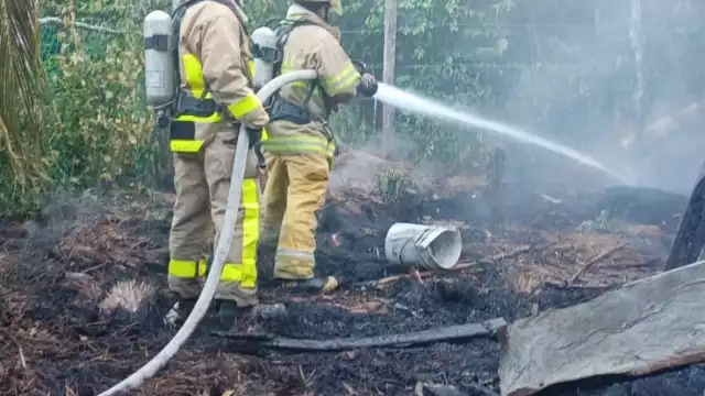 De acuerdo a la información proporcionada, se desconocen las casusas que pudieron originar el incendio