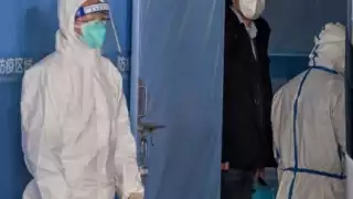 Los investigadores de la OMS concluyeron que el COVID proviene de animales