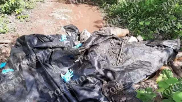 Los cuerpos estaban apilados uno sobre otro, ya fueron llevados al Servicio Médico Forense (Semefo) en Mérida, donde les están practicado las autopsias en estos momentos.