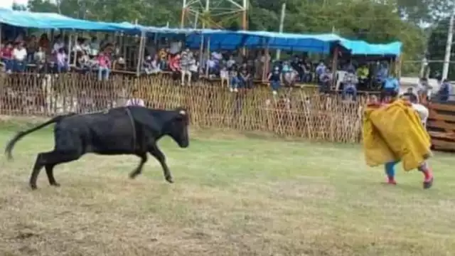 Los organizadores de la feria piden que se les permita realizar actividades con animales