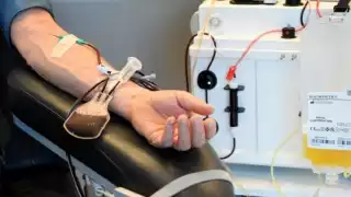 Un donador de sangre durante el procedimiento