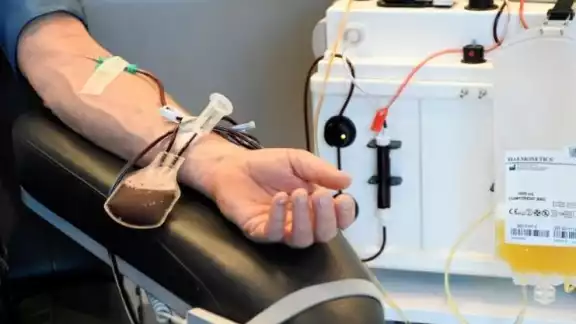 Un donador de sangre durante el procedimiento Un donador de sangre durante el procedimiento