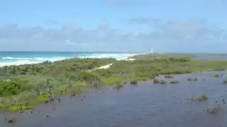 La belleza de la Laguna, enamora a quien la admira