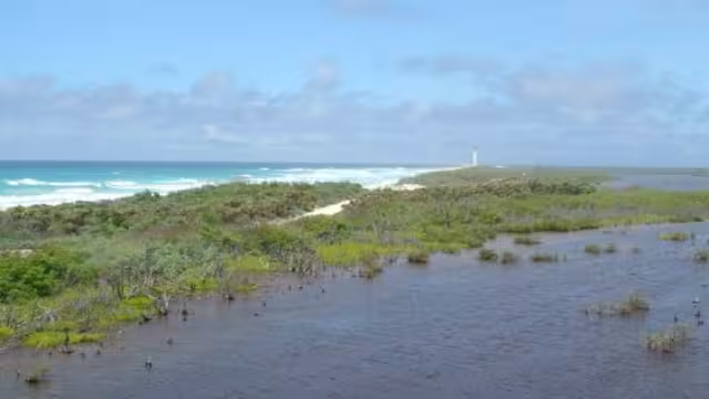La belleza de la Laguna, enamora a quien la admira