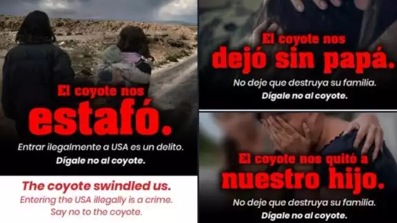 'Dígale no al coyote' ha comenzado a circular en redes sociales 'Dígale no al coyote' ha comenzado a circular en redes sociales