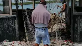 Pescadores esperan recale de langosta en Isla Contoy, tras varias semanas de 'sequía'