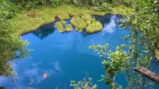 La belleza del Cenote del Cocodrilo Dorado es inigualable