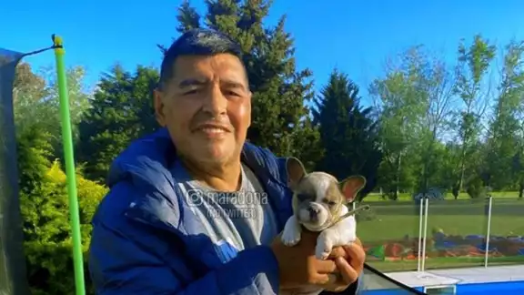 Instagram @maradona