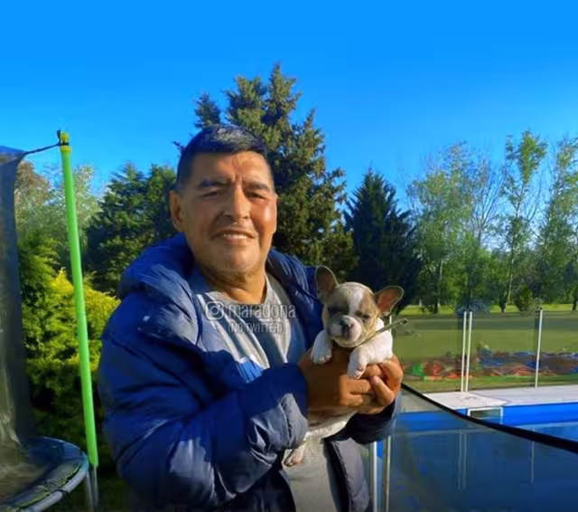 Instagram @maradona