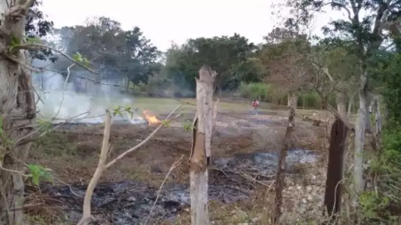 Los vientos fuertes pueden causar que el fuego se propague de forma más rápida Los vientos fuertes pueden causar que el fuego se propague de forma más rápida