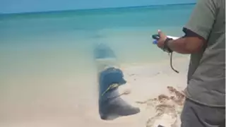 Se clausuraron las obras de la zona