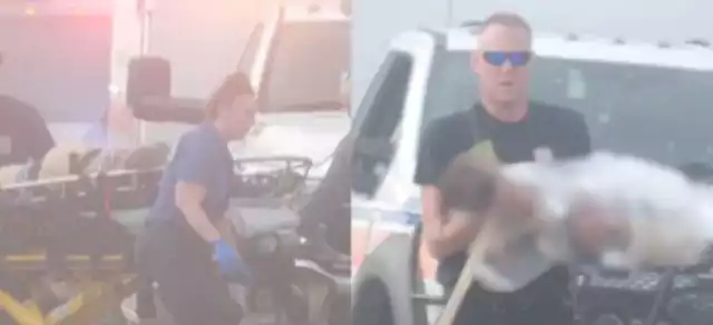 El avión militar se desplomó sobre el mar, dejando cinco muertos y dos sobrevivientes