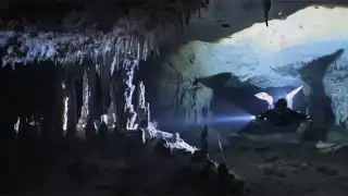 Cenotes más extraños en la península de Yucatán