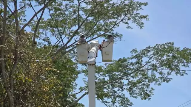 La CFE inició trabajos para despejar las líneas eléctricas en el tramo Santa Cruz-Plan del Carmen