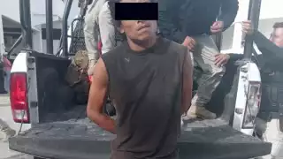 Conocido pájaro de cuentas en Campeche