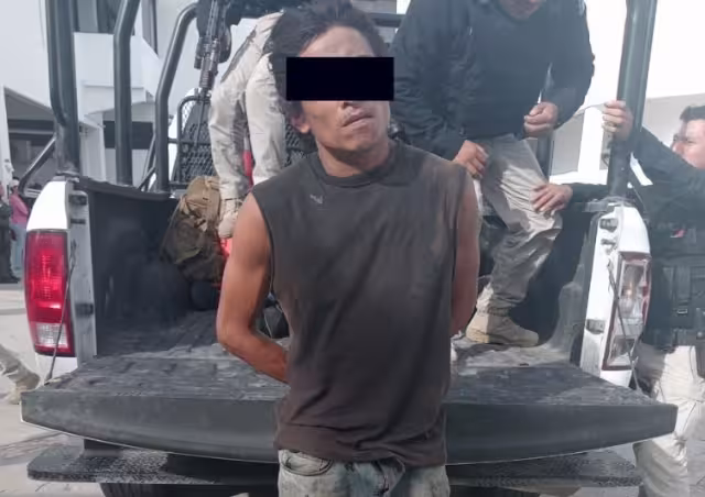 Conocido pájaro de cuentas en Campeche