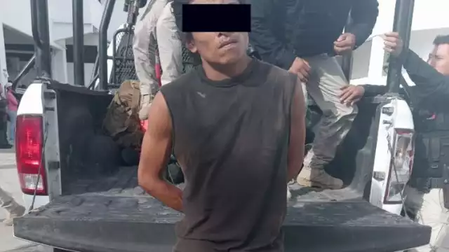 Conocido pájaro de cuentas en Campeche