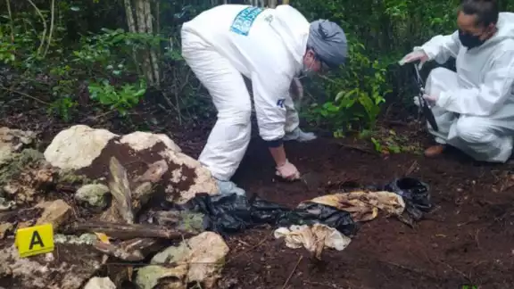 La FGE Quintana Roo ocultó el hallazgo de fosas clandestinas desde el martes en la delegación Alfredo V. Bonfil La FGE Quintana Roo ocultó el hallazgo de fosas clandestinas desde el martes en la delegación Alfredo V. Bonfil