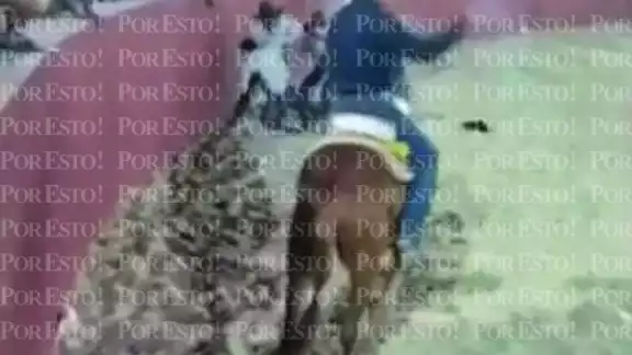El jinete fue trasladado a un hospital El jinete fue trasladado a un hospital