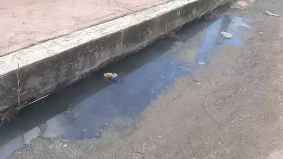 Vecinos de la colonia Centro piden que se sancione a quienes realizan esta acción que les afecta