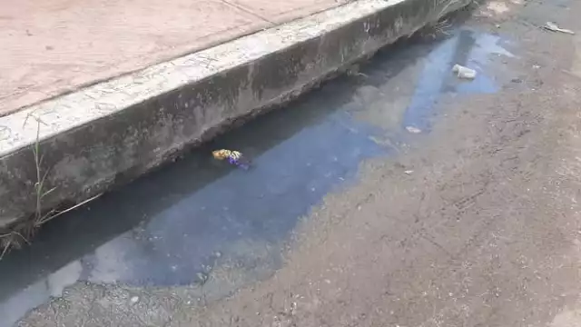 Vecinos de la colonia Centro piden que se sancione a quienes realizan esta acción que les afecta