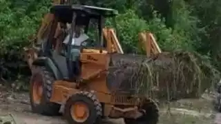 Arrancan mangle y rellenan la orilla de la Laguna de los 7 Colores de Bacalar sin permisos