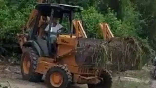 Arrancan mangle y rellenan la orilla de la Laguna de los 7 Colores de Bacalar sin permisos