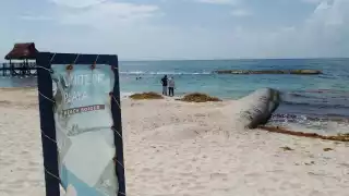 Coloca The Fives más geotextiles