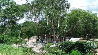 Los predios en Puerto Aventuras ya se encontraban limpios de maleza, y listos para que fuesen tomados por los invasores