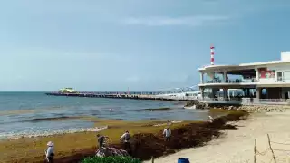Las navieras Ultramar y Winjet se turnan para trabajar la ruta marítima Playa del Carmen-Cozumel