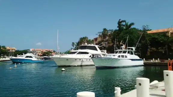 Siete embarcaciones sancionadas en operativo de Cofepris en Puerto Aventuras Siete embarcaciones sancionadas en operativo de Cofepris en Puerto Aventuras