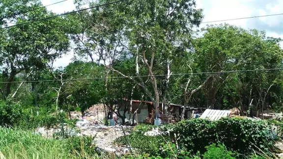 Los predios en Puerto Aventuras ya se encontraban limpios de maleza, y listos para que fuesen tomados por los invasores Los predios en Puerto Aventuras ya se encontraban limpios de maleza, y listos para que fuesen tomados por los invasores