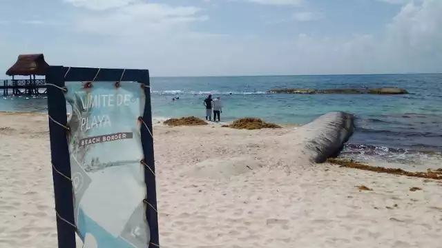 Coloca The Fives más geotextiles