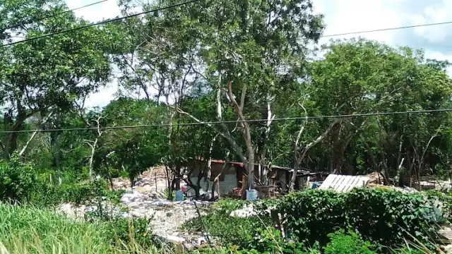 Los predios en Puerto Aventuras ya se encontraban limpios de maleza, y listos para que fuesen tomados por los invasores