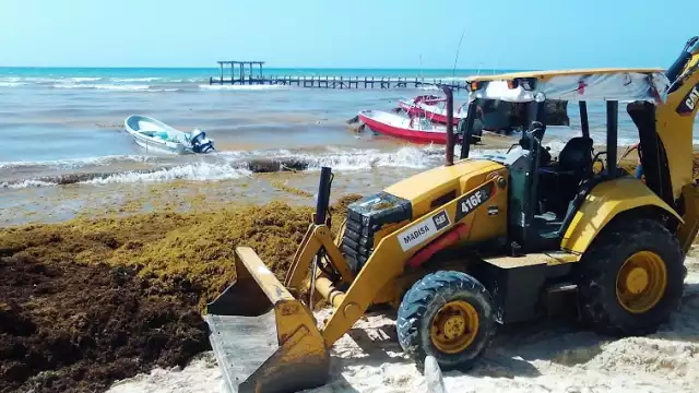 Los recursos deberá aplicarse en obra pública n en caso de que no exista un recale masivo de sargazo en Playa del Carmen