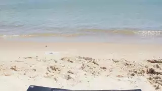 Reprueba Quintana Roo en aprovechamiento de energías renovables