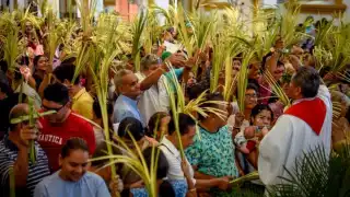 En este día se recuerda la entrada triunfal de Jesús en Jerusalén en medio de una multitud que lo aclamó como el Mesías