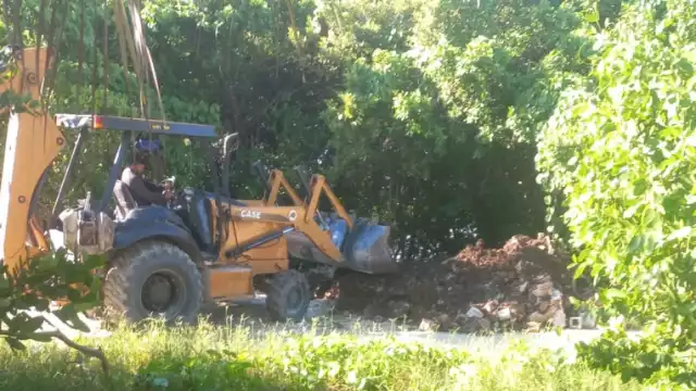 Habitantes de Sisal acusan al comisario municipal de la destrucción de manglar en zona protegida