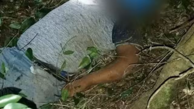 La persona falleció en el lugar