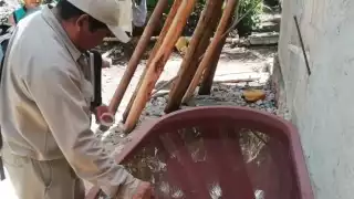 Campeche realiza jornada contra el dengue este viernes en 11 municipios; estas localidades visitarán    