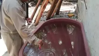 Piden a familias sumarse al combate del mosquito transmisor del dengue en Campeche