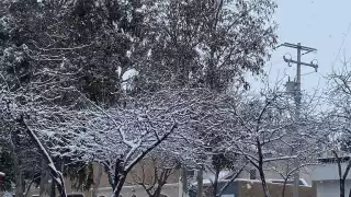 Se han reportado temperaturas de entre -4 y -2 grados centígrados en Sonora