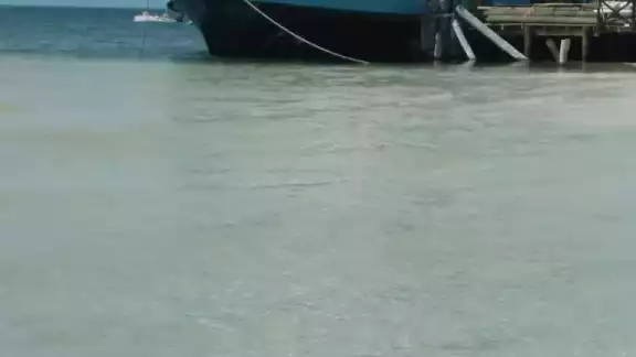 Después de 50 minutos lograron divisar a otros tres cocodrilos rondando en el lugar Después de 50 minutos lograron divisar a otros tres cocodrilos rondando en el lugar